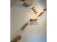 猫ちゃんと暮らす家 リビング壁のキャットステップ